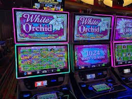 mex joy Pai Gow Poker
